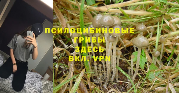 героин Алексин