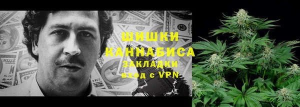 СК Алзамай