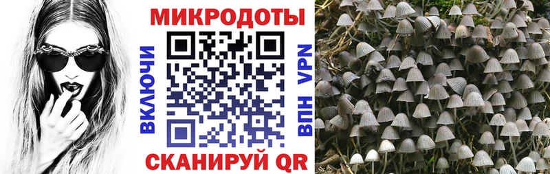 Псилоцибиновые грибы Magic Shrooms  как найти   Сочи 