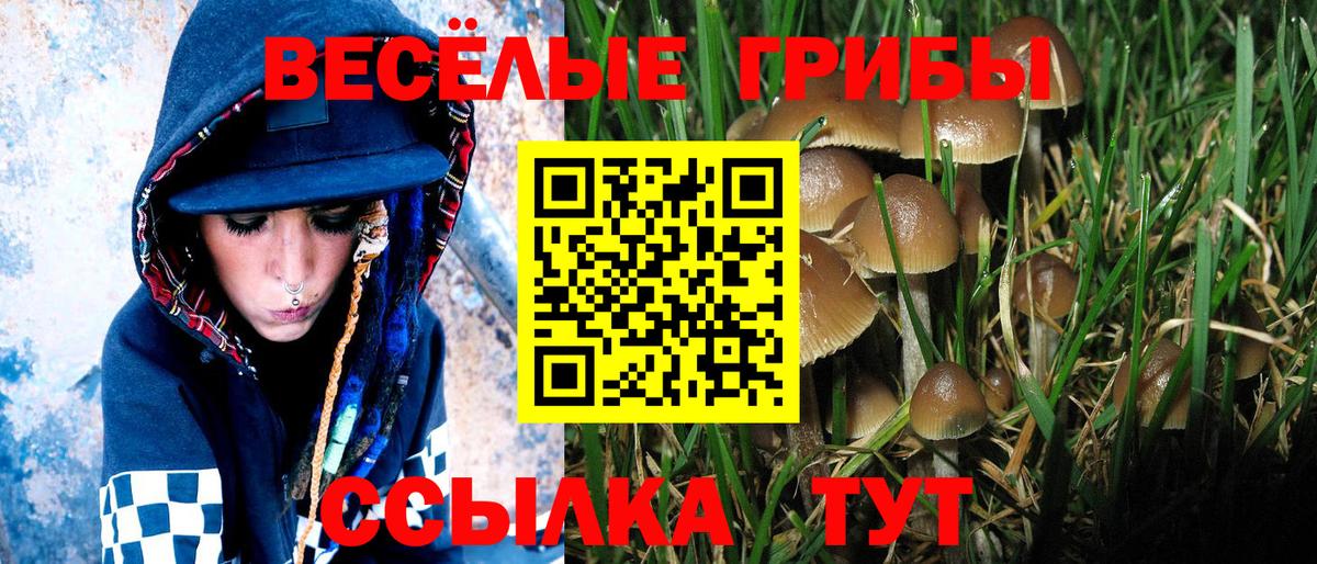 Сочи  как найти наркотики  Псилоцибиновые грибы Psilocybe  Вход с VPN  Галлюциногенные грибы ЛСД 